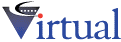 Virtual Management